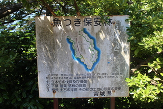 2011_0710_095358-IMG_0170.JPG