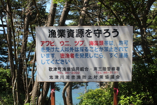 2011_0710_095428-IMG_0171.JPG