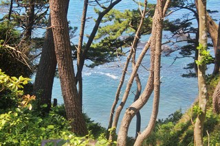 2011_0710_095441-IMG_0172.JPG