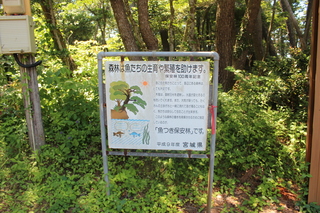 2011_0710_095542-IMG_0175.JPG