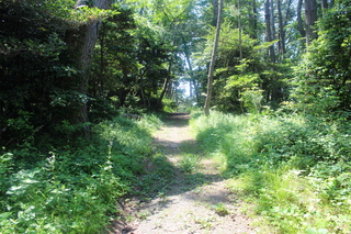 2011_0710_095558-IMG_0176.JPG