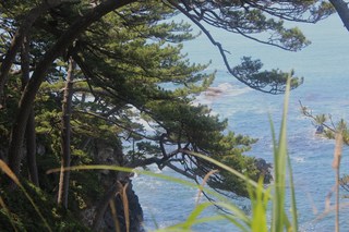 2011_0710_100259-IMG_0190.JPG