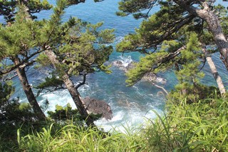 2011_0710_100634-IMG_0198.JPG