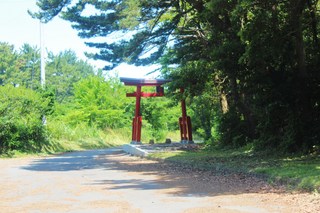 2011_0710_101051-IMG_0203.JPG
