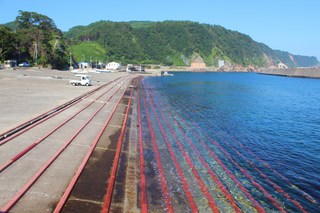 2011_0805_074959-IMG_2716.JPG