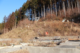 2011_1212_081958-IMG_6625.JPG