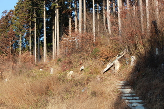 2011_1212_082323-IMG_6638.JPG