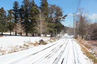 2011_1217_111336-IMG_7451.JPG