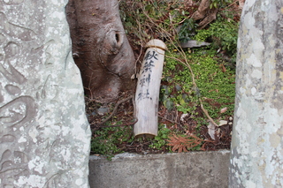 2011_1224_161032-IMG_8456.JPG
