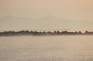 2012_0101_073810-IMG_9087.JPG