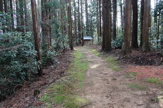 2012_0123_124239-IMG_1979.JPG