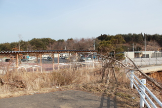 2012_0316_145525-IMG_9705.JPG