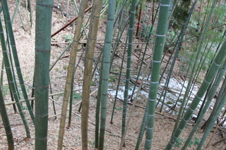 2012_0325_122351-IMG_2003.JPG