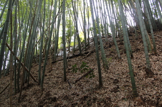 2012_0325_122508-IMG_2005.JPG