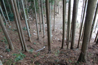 2012_0325_123942-IMG_2058.JPG