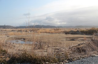 2012_0418_163552-IMG_6817.JPG