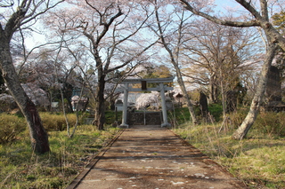 2012_0421_161300-IMG_7951.JPG