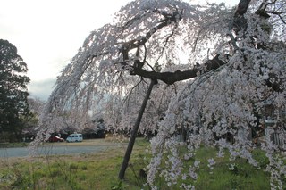 2012_0421_162904-IMG_8031.JPG