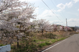 2012_0501_143240-IMG_8860.JPG