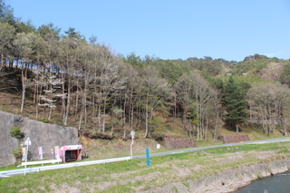 2012_0507_154238-IMG_9204.JPG