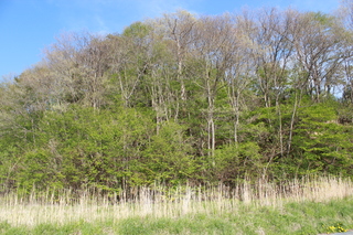 2012_0513_155514-IMG_9947.JPG