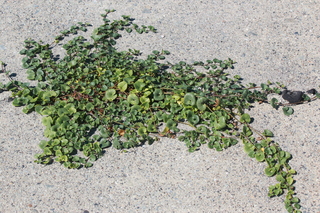 2012_0820_140014-IMG_9100.JPG