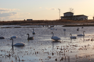 2012_1216_073457-IMG_5256.JPG