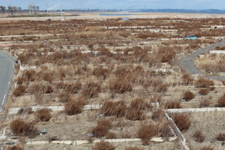 2013_0110_135433-IMG_7947.JPG