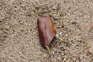 2013_0420_142716-IMG_9863.JPG
