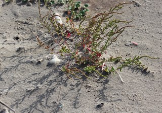2013_0929_150916-IMG_8276.JPG