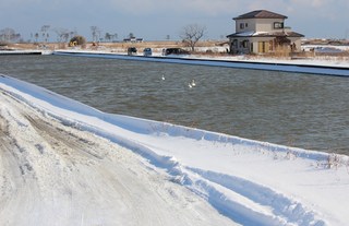 IMG_8655.JPG