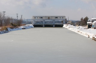IMG_8658.JPG