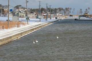 IMG_8660.JPG