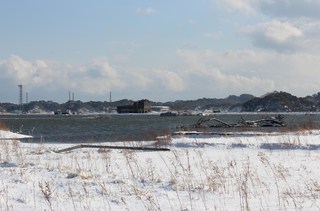 IMG_8679.JPG