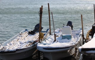 IMG_8740.JPG