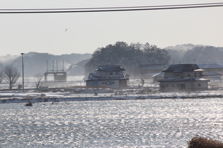 IMG_8845.JPG